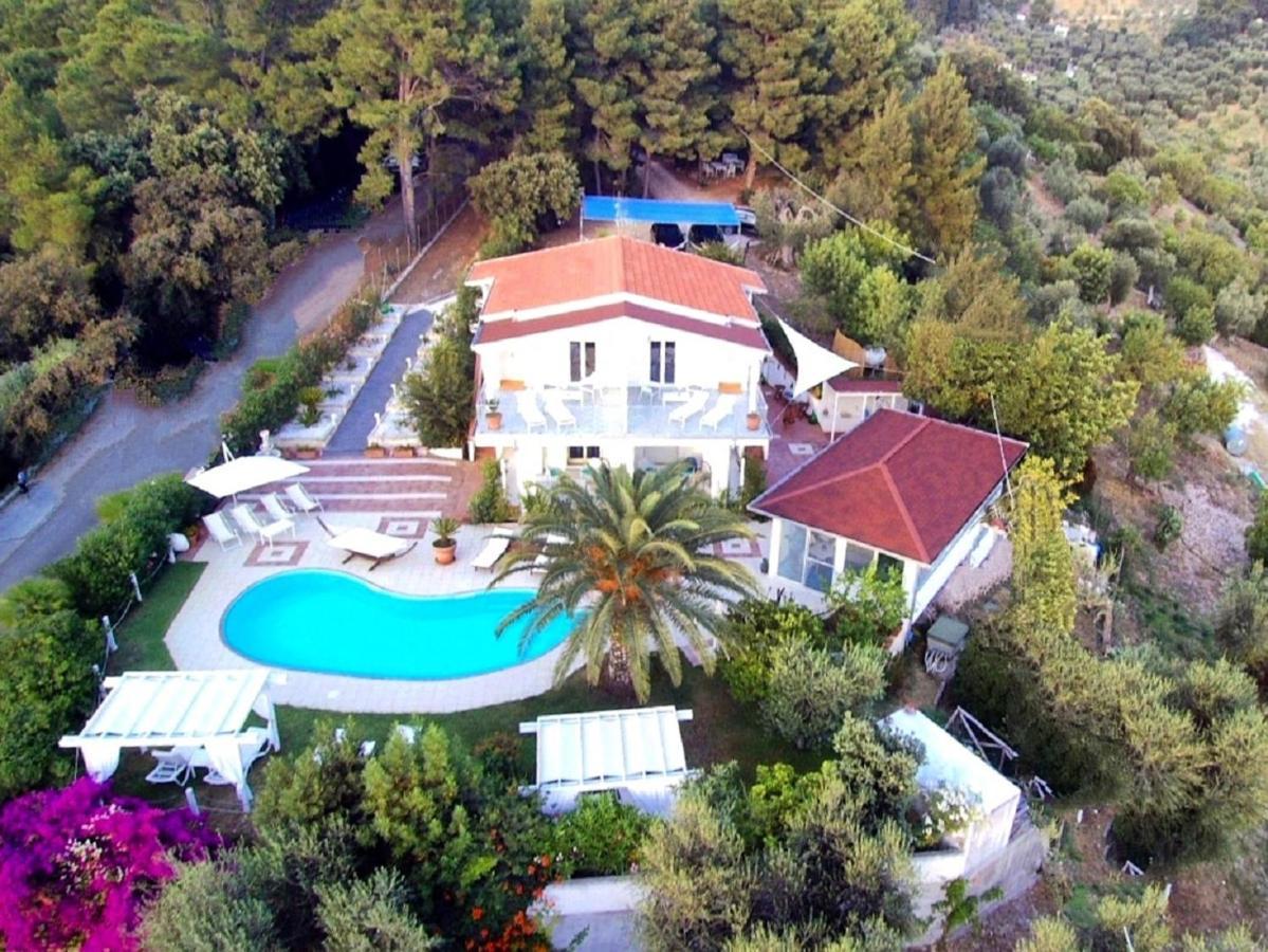 B&B White House Peschici Εξωτερικό φωτογραφία