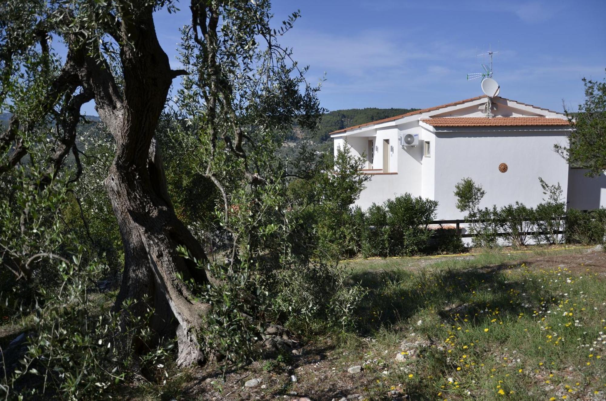 B&B White House Peschici Εξωτερικό φωτογραφία